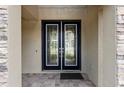 Close up of the double door entry way featuring decorative glass panels and matte black hardware at 21878 Amelia Rose Way, Land O Lakes, FL 34637