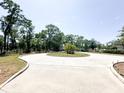 Circular driveway with manicured lawn, a palm tree island, and beautiful shady trees at 3114 Little Rd, Valrico, FL 33596