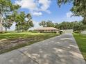 Expansive lot featuring lush greenery and a long concrete driveway leading to the home at 1414 Stephens Oak Ct, Plant City, FL 33567
