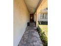 Charming entrance walkway with plants on each side, leading to the front door at 4363 Elwood Rd, Spring Hill, FL 34609