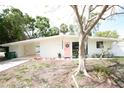 Charming single-story home boasts a pink front door, white brick, and a spacious front yard at 4735 W Wisconsin Ave, Tampa, FL 33616