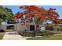 Inviting home with mature tree, featuring a brick facade, a pink door, and a convenient carport at 4735 W Wisconsin Ave, Tampa, FL 33616