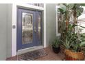 Inviting home entrance featuring an elegant front door with decorative glass and tiled porch at 11102 Avery Oaks Dr, Tampa, FL 33625