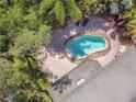 Aerial view of a private pool surrounded by lush greenery and a paved patio at 11102 Avery Oaks Dr, Tampa, FL 33625