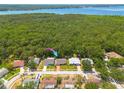 Aerial view showing the home's location within a quiet neighborhood near a lake at 1144 Lanyard St, Palm Harbor, FL 34685