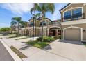 Charming townhome community with tan exteriors, two-car garages, and well-manicured landscaping at 11442 Crowned Sparrow Ln, Tampa, FL 33626