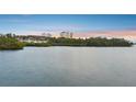 Beautiful water view showcasing the building's location near tranquil waters and lush green trees at sunset at 2625 Terra Ceia Bay Blvd # 406, Palmetto, FL 34221