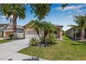Beautiful front yard with mature palm trees and lush green grass at 5907 Sweet Birch Dr, Riverview, FL 33578