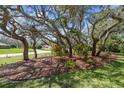 Lush landscaped front yard with mature trees providing shade and a mulch bed with unique plants at 6938 Coronet Dr, New Port Richey, FL 34655