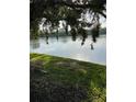 A tranquil lake view from the community, offering a peaceful retreat surrounded by nature at 782 Village Lake N Ter # 102, St Petersburg, FL 33716
