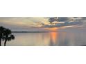 Beautiful sunrise over the water with palm trees in the foreground, creating a serene vista at 7540 Sunshine Skyway S Ln # 217, St Petersburg, FL 33711