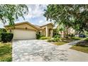 Inviting single-story home featuring a spacious driveway and lush green lawn at 9229 Dayflower Dr, Tampa, FL 33647