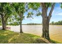 Scenic lake view framed by mature trees and lush green grass leading to calm, light-brown water and a wooden dock at 9630 Tree Tops Lake Rd, Tampa, FL 33626