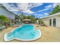 Sparkling backyard pool surrounded by lounge chairs, lush greenery, and a charming tiki bar for ultimate relaxation at 208 44Th Ne Ave, St Petersburg, FL 33703