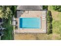 Aerial view of community pool featuring lounge chairs and well maintained landscaping at 4917 Puritan Cir # 105, Tampa, FL 33617