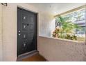 Close-up of the front door to unit 4917 with a black door, a decorative peephole, and a potted plant at 4917 Puritan Cir # 105, Tampa, FL 33617