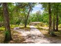 The single-story home is framed by mature trees and a long, winding driveway at 19266 Campground Rd, Brooksville, FL 34601