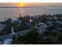 Waterfront community with lush trees, well-maintained streets, and beautiful sunsets at 1542 Bayshore Blvd, Dunedin, FL 34698