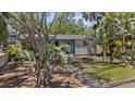 Beautifully landscaped front yard with a cozy single-story home featuring a vibrant blue door and tropical foliage at 3025 50Th St S S St, Gulfport, FL 33707