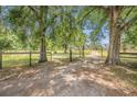 Scenic driveway leading to a property surrounded by lush trees and fencing at 18838 Huckavalle Rd, Odessa, FL 33556