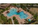 Aerial view of a resort-style community pool with palm trees, lounge chairs, and meticulous landscaping at 803 Floresta St, Brandon, FL 33511