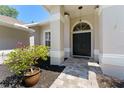 Charming entryway with double front doors, beautiful planters, and decorative pavers at 12503 Bronco Dr, Tampa, FL 33626