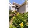 Close-up of the front garden displaying yellow flowers and a view of the home's entrance at 3964 Silk Oak Ln, Palm Harbor, FL 34685