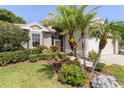 Beautiful home exterior featuring lush landscaping, palm trees, and a well-maintained lawn at 3964 Silk Oak Ln, Palm Harbor, FL 34685
