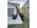 View of home's front entrance showcasing a walkway, landscape, and a brown front door at 4456 Globe Thistle Dr, Tampa, FL 33619