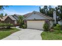 Charming single-story home with a manicured lawn and a two-car garage at 3808 Hollow Wood Dr, Valrico, FL 33594