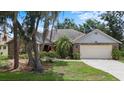 Charming single-story home with mature trees, a manicured lawn, and a two-car garage at 3808 Hollow Wood Dr, Valrico, FL 33594
