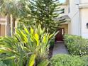 Inviting front entrance with a red door, decorative wreath, seating, and beautiful landscaping at 7704 Tuscany Woods Dr, Tampa, FL 33647