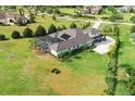 Expansive backyard features a large screened-in pool area, verdant lawn, and mature landscaping in a premier neighborhood at 17305 Ballmont Park Dr, Odessa, FL 33556