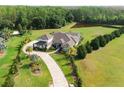 Aerial view showcasing the estate's lush greenery, mature trees, tranquil pond, and long paver driveway at 17305 Ballmont Park Dr, Odessa, FL 33556