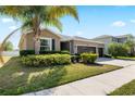 Well-maintained single-story home with lush green lawn, mature palm trees, and a long driveway at 5453 Suncatcher Dr, Wesley Chapel, FL 33545