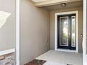 Elegant front door with decorative glass and sidelights, complemented by a neutral exterior at 5453 Suncatcher Dr, Wesley Chapel, FL 33545