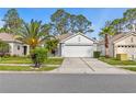 Charming home with a well-manicured lawn, mature palm trees, and a concrete driveway at 23935 Coral Ridge Ln, Land O Lakes, FL 34639