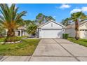 Charming home with a well-manicured lawn, mature palm trees, and a concrete driveway at 23935 Coral Ridge Ln, Land O Lakes, FL 34639