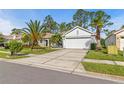 Charming home with a well-manicured lawn, mature palm trees, and a concrete driveway at 23935 Coral Ridge Ln, Land O Lakes, FL 34639