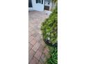 Beautiful paver patio with a decorative potted tree at 3914 W Cleveland St, Tampa, FL 33609