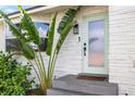 Close up of front entrance featuring a green front door, gray steps and a healthy green plant at 10716 Donbrese Ave, Tampa, FL 33615