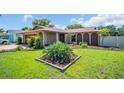Well-manicured front yard showcases lush green lawn, mulched flower beds, and mature landscaping at 2597 Bramblewood E Dr, Clearwater, FL 33763