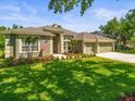 Landscaped front yard with a well-maintained lawn and mature trees enhance this single-story home at 19808 Sunsplash Ln, Lutz, FL 33558
