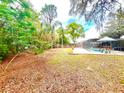 Spacious backyard featuring lush landscaping and a screened-in pool area with patio furniture at 11272 Portsmouth St, Spring Hill, FL 34609