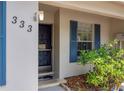 Close-up of the front door and window with blue shutters, offering a cozy and inviting entrance at 333 Bay Pl, Safety Harbor, FL 34695