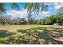 Spacious grassy front yard dotted with mature trees, providing a tranquil and welcoming environment at 34125 Chancey Rd, Wesley Chapel, FL 33543