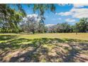 Large, grassy property lot with mature trees creating dappled sunlight at 34125 Chancey Rd, Wesley Chapel, FL 33543