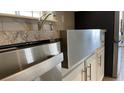 Close-up of kitchen featuring a stainless steel farmhouse sink and modern appliances at 3722 Binnacle Dr, Tampa, FL 33611