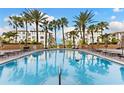 Resort-style pool area with lounge chairs and palm trees, perfect for relaxation at 5823 Bowen Daniel Dr # 906, Tampa, FL 33616
