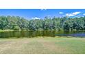 Scenic backyard view featuring lush green lawn leading to a tranquil pond surrounded by a dense tree line at 8474 Dunham Station Dr, Tampa, FL 33647